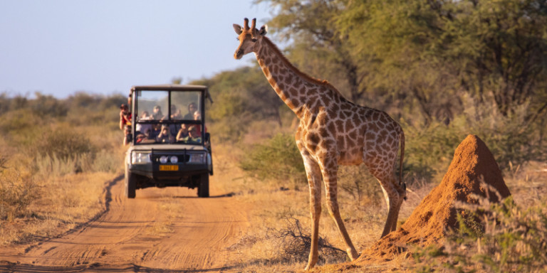 AdobeStock 535689142